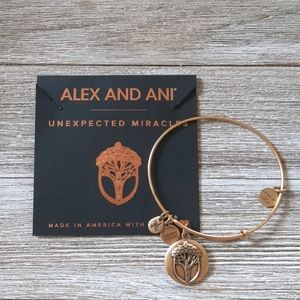 Alex and Ani Unexpected Miracles bangle